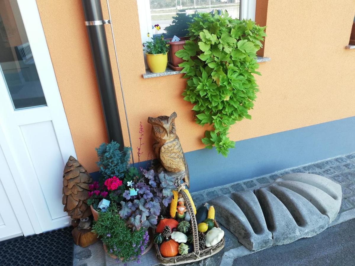 צליה Apartments Alexandra מראה חיצוני תמונה